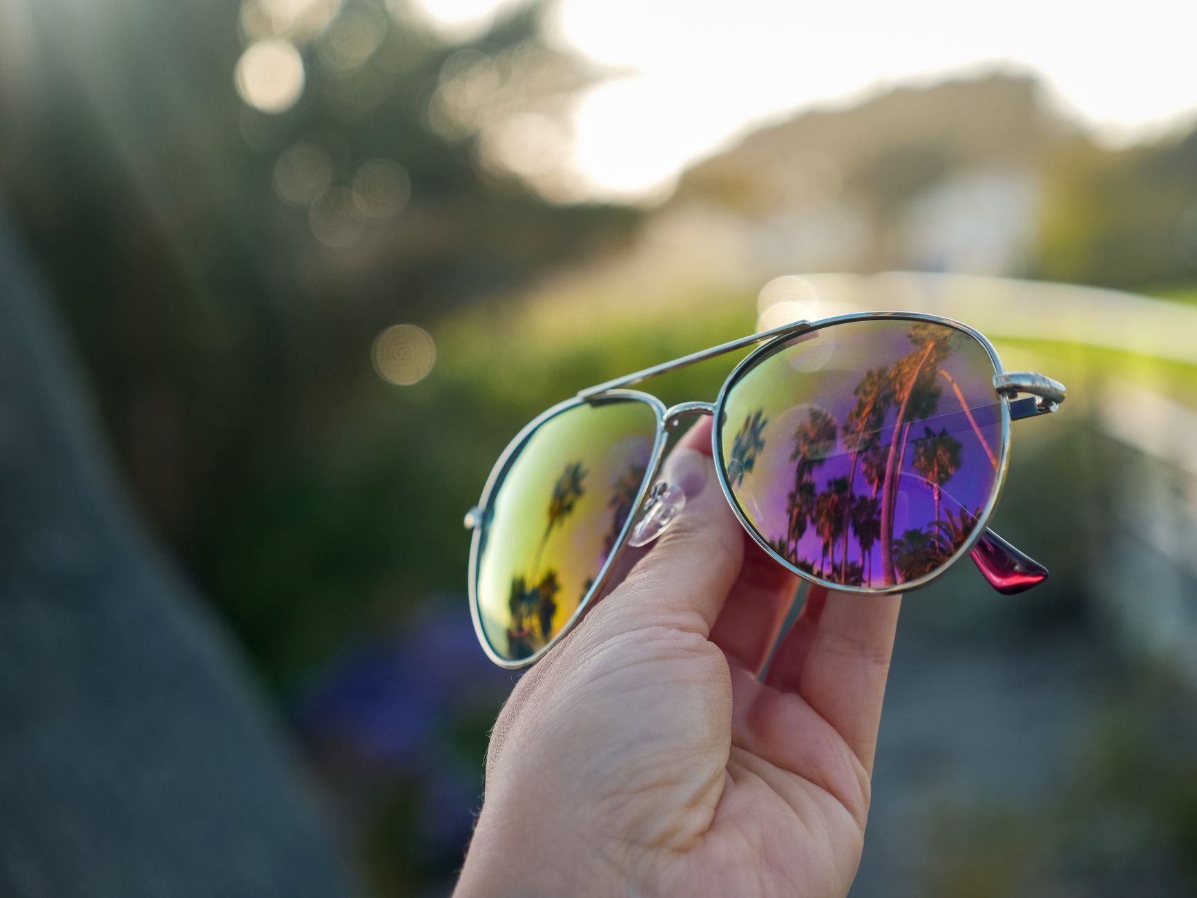 Verres de lunettes reflétant des palmiers