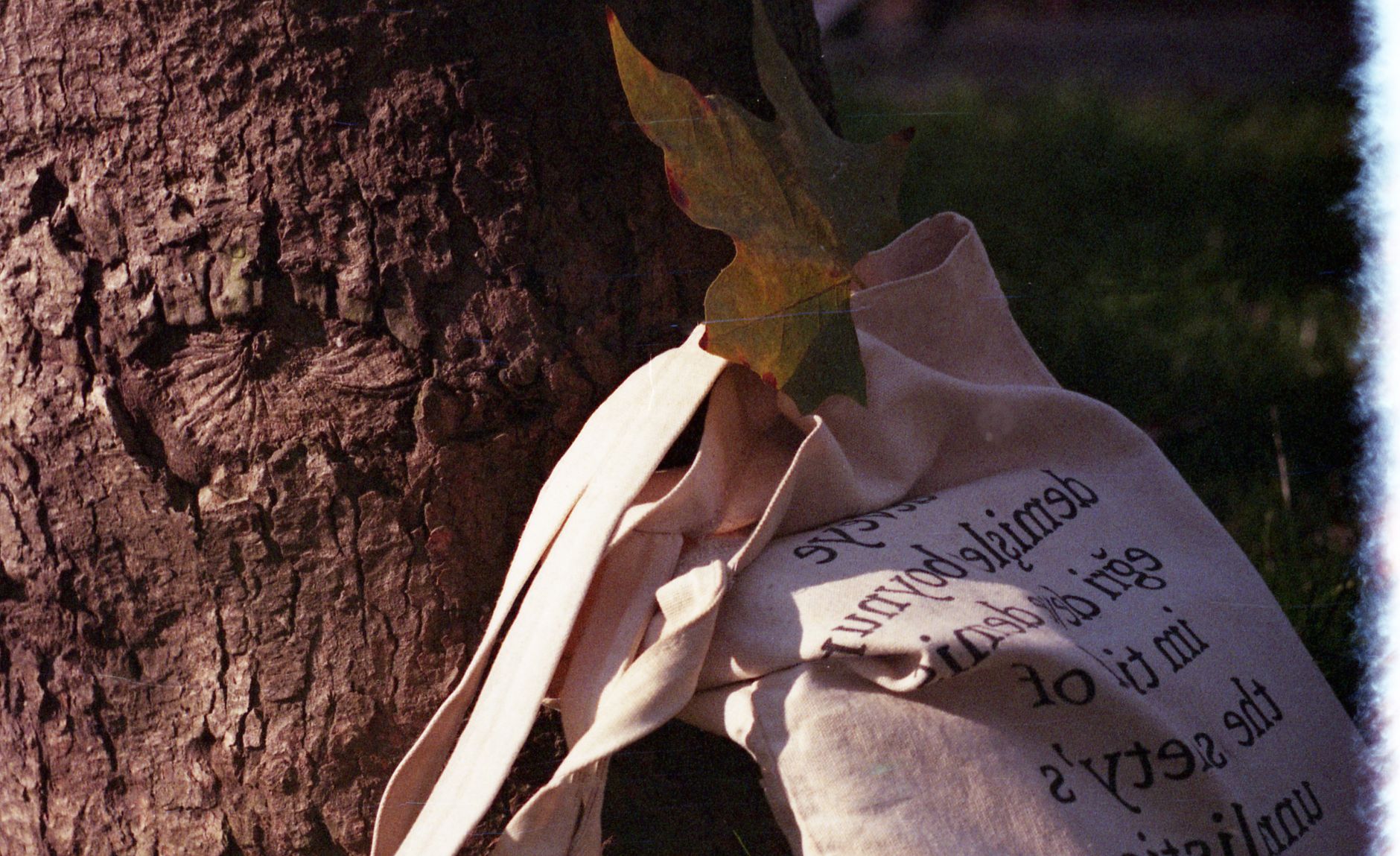 Sac cabas en toile contre un arbre